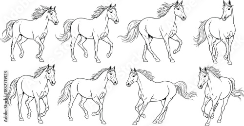 Detailed running horse illustration set showing various dynamic poses, outline drawing, equine motion study, wild horse sketch collection for design