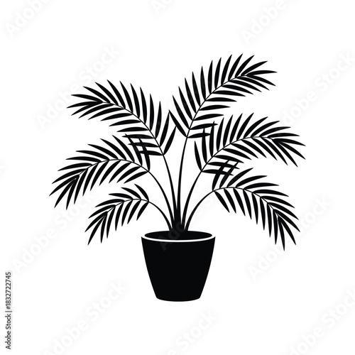 Palm plant in a modern black ceramic pot, silhouette vector design on a white background