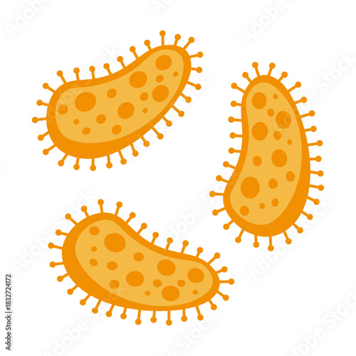 Salmonella Bacteria Icon
