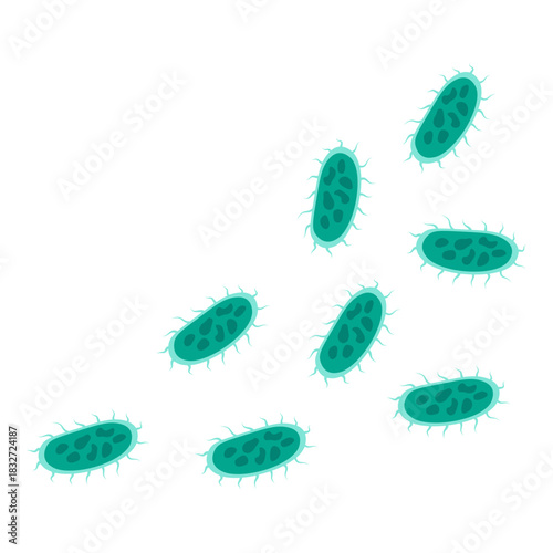 Salmonella Bacteria Icon
