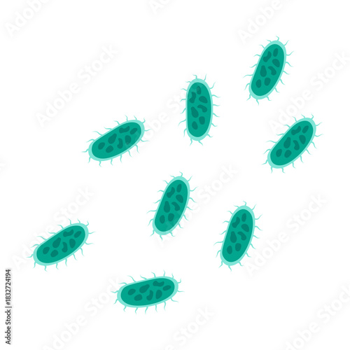 Salmonella Bacteria Icon