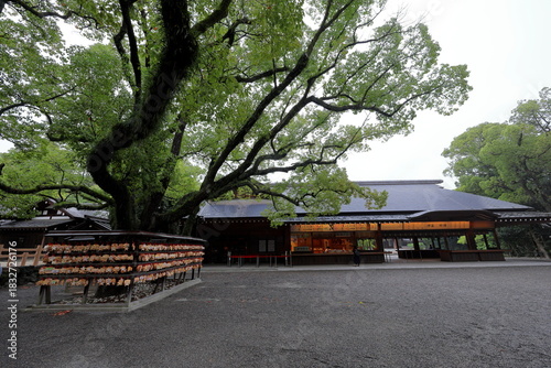 Atsuta jingu Shrine, a revered Shinto shrine surrounded by cypress trees in Jingu, Atsuta Ward, Nagoya, Aichi, Japan