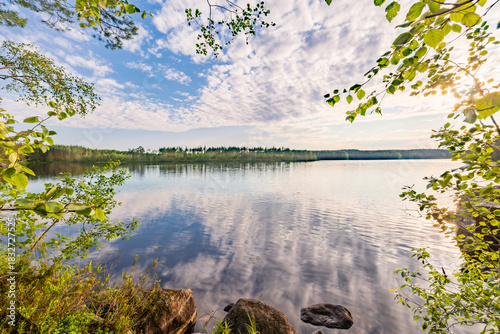 lake in the forest