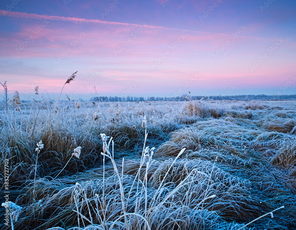 Obraz premium Frost covered winter meadow at sunrise with pink and blue sky