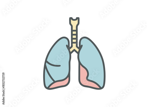 Flat vector illustration of human lungs and trachea in light blue and pink on a black background representing respiratory system anatomy and medical science