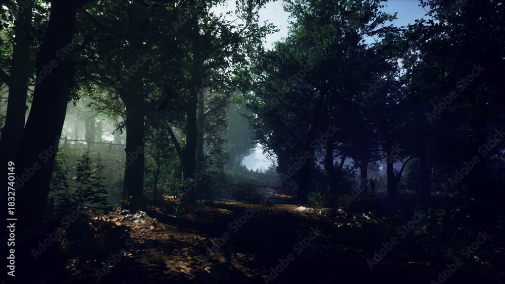 Fototapeta premium Sunlight filters through dense foliage in a serene forest setting, creating a mystical atmosphere. A narrow path leads deeper into the green, inviting adventure and discovery among trees.