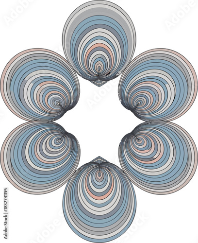 Concentric Patterned Shells Circular Arrangement