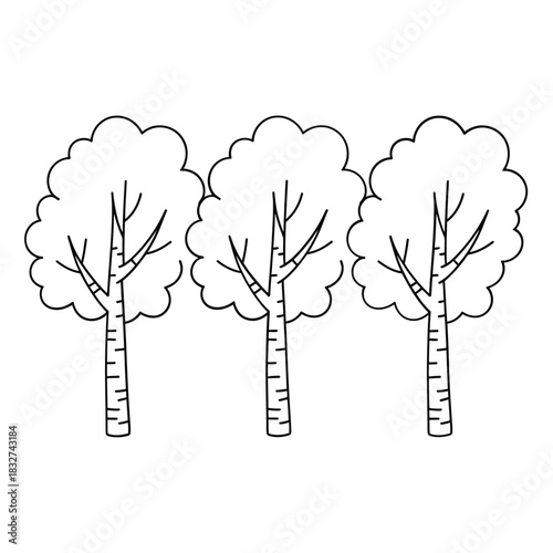 Simple black and white sketch of three birch trees in a row
