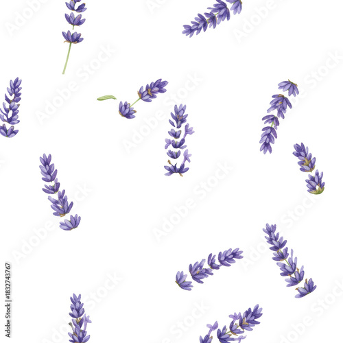 Individual sprigs of delicate purple lavender flowers and green leaves, rendered with soft watercolor textures, sharp focus, on a transparent background, modern botanical spring pattern concept