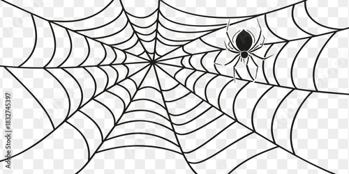 Spider on Web Vector. Detailed Cobweb Line Art Illustration.