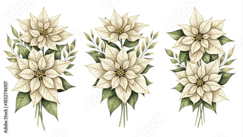 Watercolor White Poinsettia Bouquet Set with Green Foliage Christmas Floral Illustration