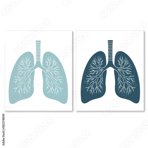 Two stylized illustrations of human lungs in light and dark blue, depicting the respiratory system anatomy.