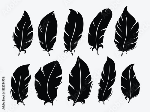 Antique Feather Quill Vector Set