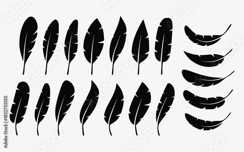 Bird Feather Silhouette Icon Set
