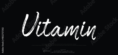 Elegant Font Uppercase Lowercase and Number. Classic Lettering Minimal Fashion Designs. Typography modern serif fonts regular decorative vintage concept. vector illustration