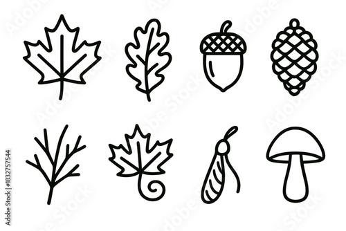 Autumn Outline Icons. Autumn elements linear icon set: maple leaf, oak leaf, acorn, pinecone, bare branch, swirling leaf, seed pod, forest mushroom