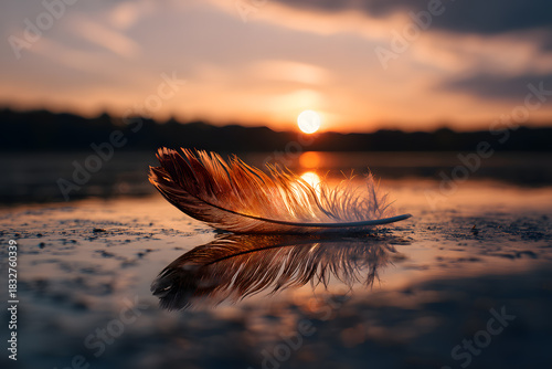 a feather is laying on the ground at sunset