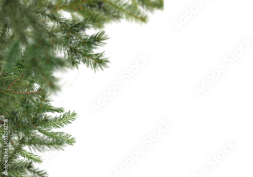 Soft focus fir branches along left edge on white background, slightly blurred evergreen foliage creating natural vertical winter frame with copy space for Christmas greeting cards, posters, banners