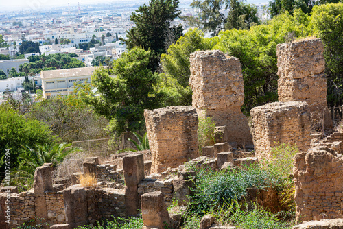 Ruins of the ancient city of Carthage