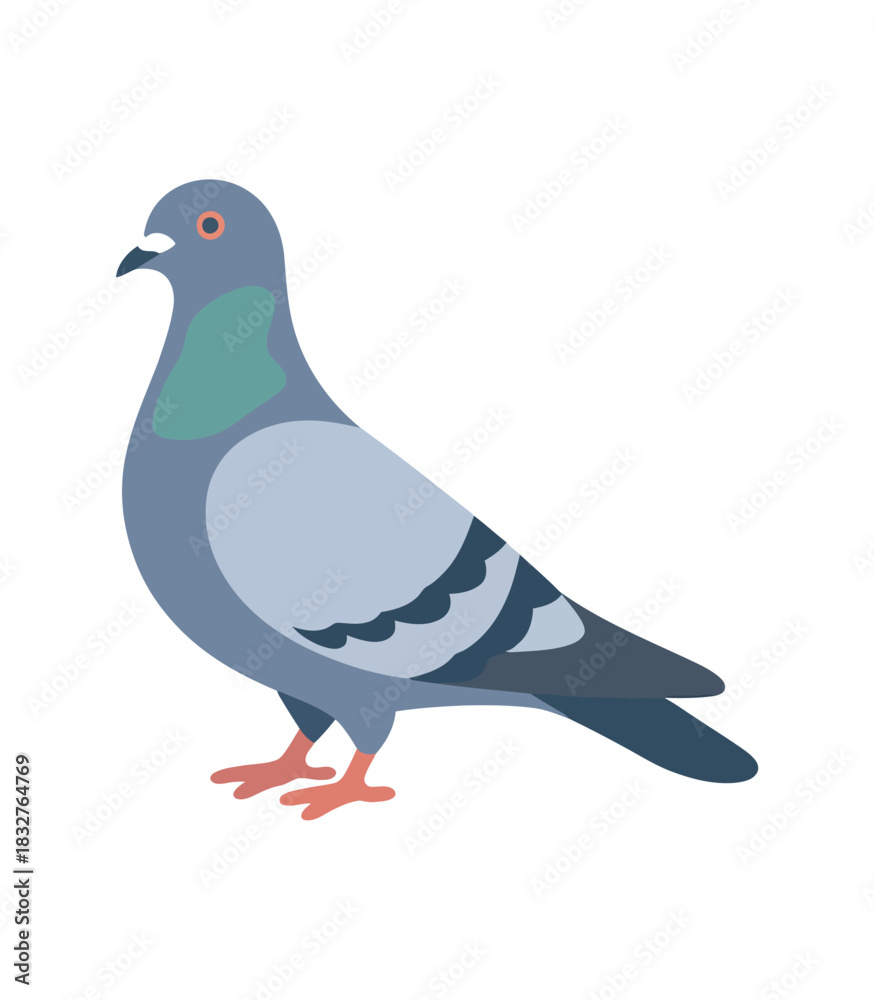Fototapeta premium A stylized illustration of a pigeon standing still on a white background.
