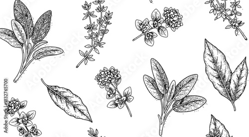 Set of diverse botanical herb and foliage silhouettes isolated on a deep black background