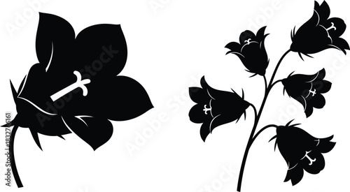 Black silhouette of bellflower flowers on white background for graphic design