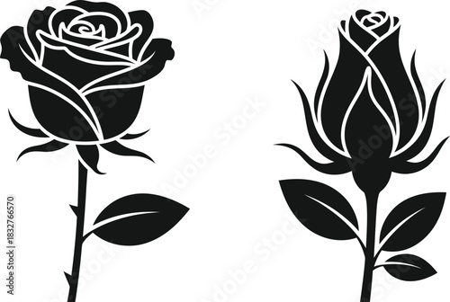 Elegant rose flower silhouettes open bloom and bud vector illustration