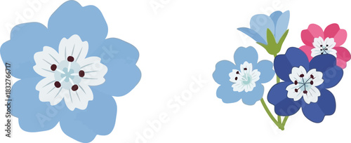 Delicate floral illustration of forget me nots with various color combinations