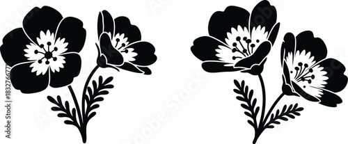 Elegant black and white flower illustration for graphic design and decoration