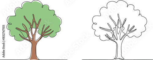 Tree illustration colored and outline version for creative design projects