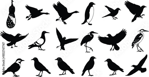 Diverse black vector silhouette collection of various avian creatures, featuring peacocks, herons, geese, penguins, and small flying birds, a versatile graphic 