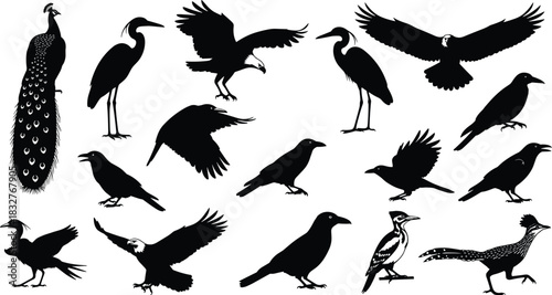 Diverse majestic bird silhouette collection, featuring eagles, herons, peacocks, crows, and other avian creatures in flyindesigns.