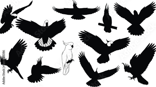 Majestic black silhouette collection of cockatoo parrots in various flying and perched poses, featuring a single outline drawing, perfect for tropical, nature, avian, and exotic bird design projects.