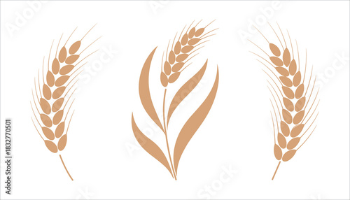 Three stylized wheat stalks in a row on a white background grain agriculture