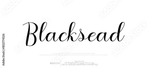 Attractive elegant serif alphabet display font vector with ligature style