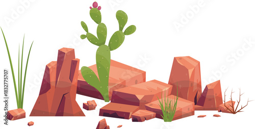 cactus and rock
