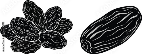 Hand drawn raisins and date fruit illustration in black and white style