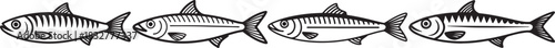 Set of Sardine Seafood Line Art, Coloring Book Page Line Art Drawing, Vector and Illustration