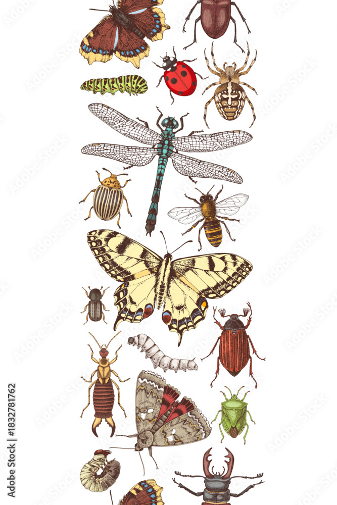 Obraz premium Insects hand drawn vertical seamless border