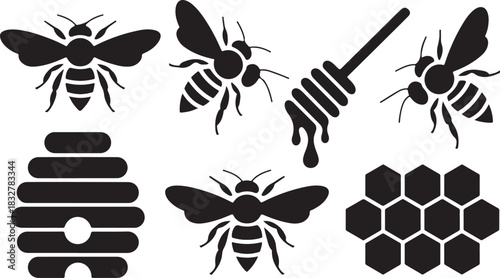 Different kinds of bees beehive honeycomb and honey dipper with drips vector art