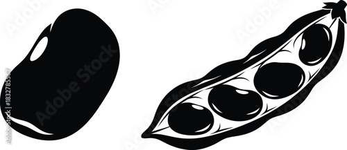 Black bean and open pod illustration in black and white