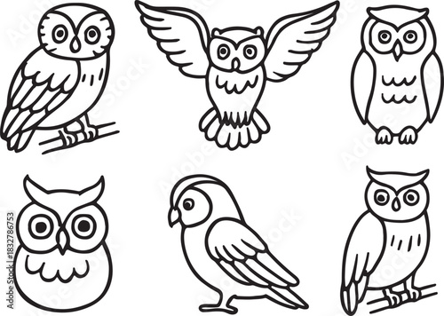 Collection of Six Different Owl Vector Drawings