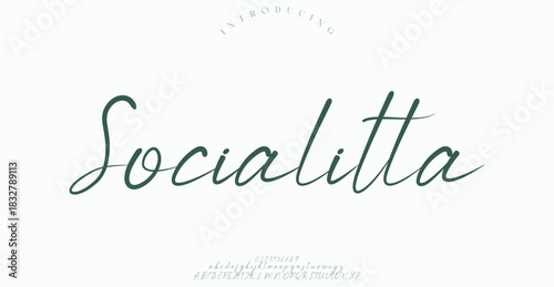 Luxury alphabet letters font. Typography elegant wedding classic lettering serif fonts decorative vintage retro concept.