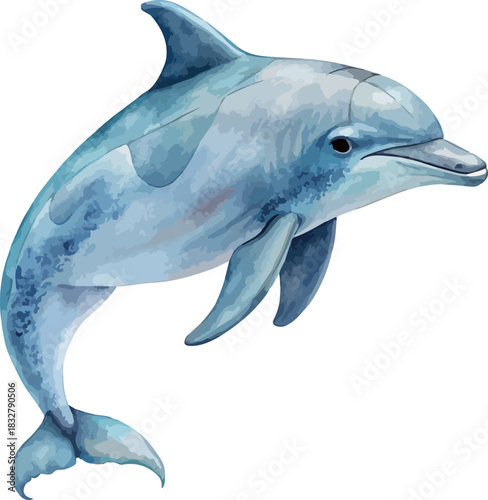 Blue Ocean Dolphin Aquatic Wild Life Hand Painted Watercolor Vector Illustration