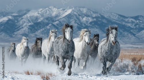 Horses galloping freely across snow-covered plains in winter light cinematic cold landscape symbol of endurance and freedom