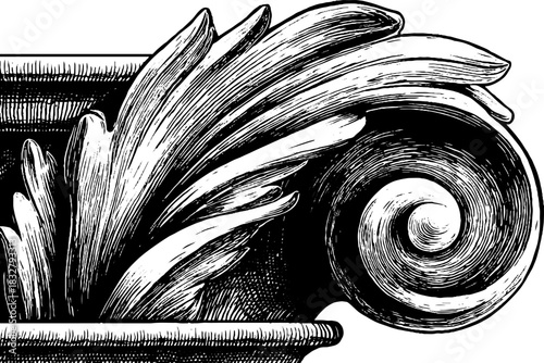 Elegant baroque volute ornament decor engraving for classic design projects