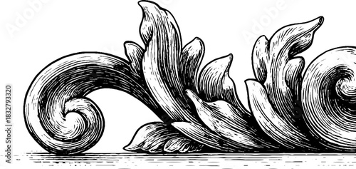 Elegant baroque volute ornament engraving for decorative design