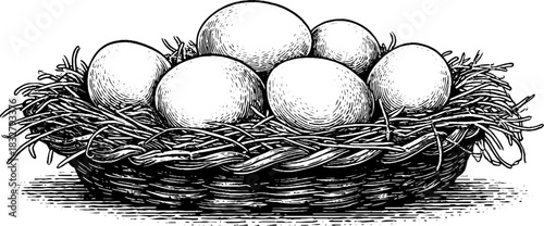 Vintage basket of fresh eggs engraving - hand drawn decorative illustration for label design