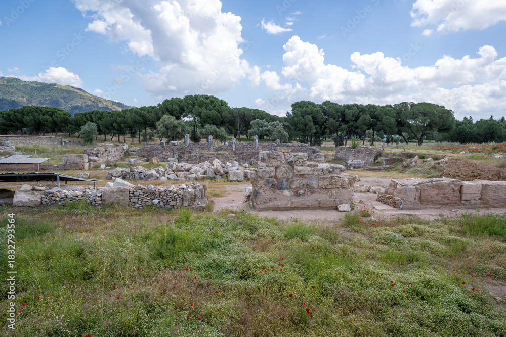 Obraz premium Ancient Tralleis site, Aydın-Turkey