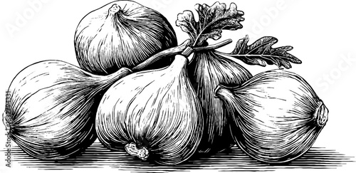 Vintage engraving of a decorative figs cluster with leaves - ideal for retro designs